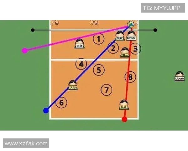 深圳排球队反击战术解析与实战应用探讨 深圳排球队反击战术解析与实战应用探讨