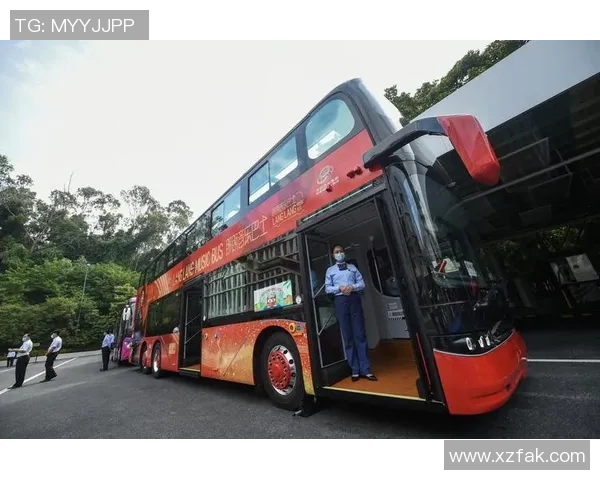 深圳乒乓球队的崛起之路与奋斗历程全景回顾