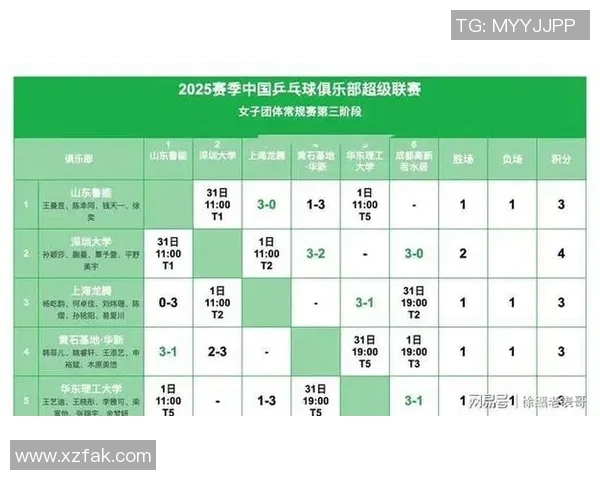 深圳乒乓球队在世界锦标赛中的速度表现分析与点评