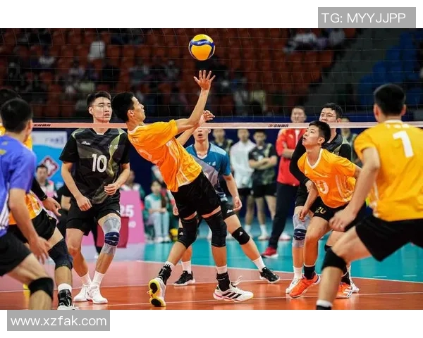 排球热点：解读上海排球队的进攻
