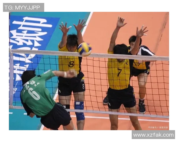 武汉排球队的奋斗与荣耀:一部排球精神的真实纪实之旅 武汉排球队的奋斗与荣耀:一部排球精神的真实纪实之旅