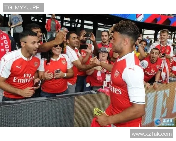 河北酒店足球明星的璀璨之路与背后故事揭秘