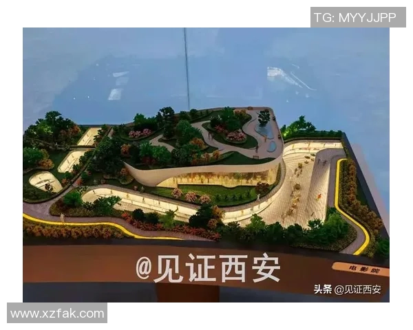 深入分析西安羽毛球队的运营策略与发展模式探讨